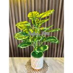 Daun Hias Jumbo 18k Vas Marble Free Batu dan Rumput - Gambar 3