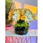Bunga Hias Anggrek Cymbidium Promax 12 cabang vas Marble