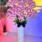 Bunga Hias Anggrek Cymbidium Sudut 14 Cabang