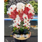 ANGGREK LATEX PREMIUM JUMBO 8 TANGKAI 72 KUNTUM VAS MARBLE - Gambar 3
