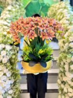 Bunga Hias Anggrek Cymbidium Promax 12 cabang vas Marble - Gambar 4