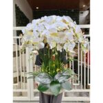 ANGGREK LATEX PREMIUM JUMBO 12 TANGKAI VAS MOTIF MARBLE - Gambar 6