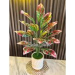 Daun Hias Jumbo 18k Vas Marble Free Batu dan Rumput - Gambar 6