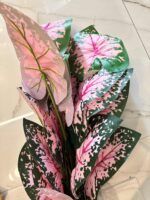 Daun Hias Jumbo 18k Vas Marble Free Batu dan Rumput - Gambar 9
